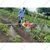 NIYO 24L 2 in 1 Manual & Battery Operated Trolley Sprayer For Agriculture